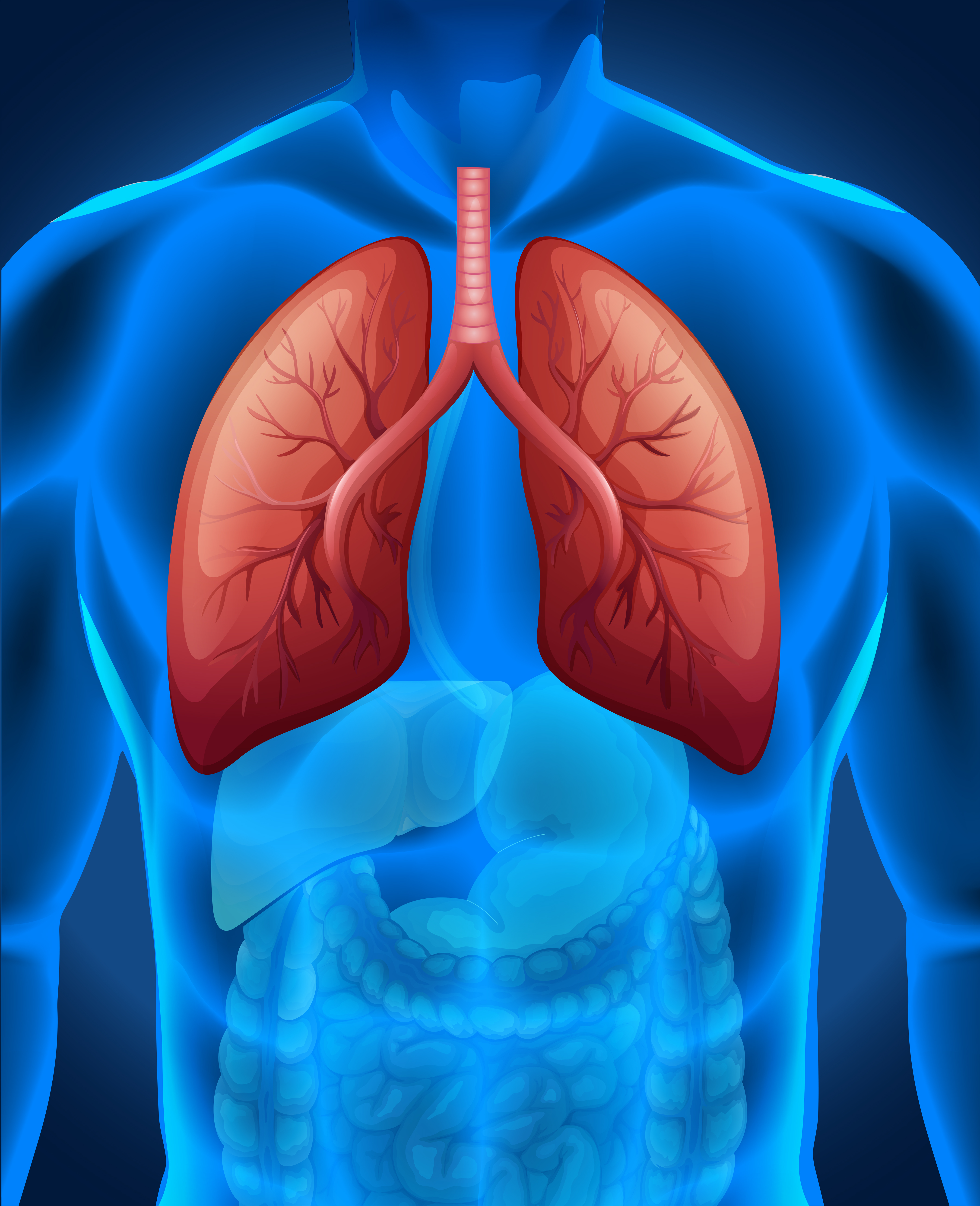Best Diabetes Doctors in Chandigarh | Fever Clinic: Navdisha Medicare